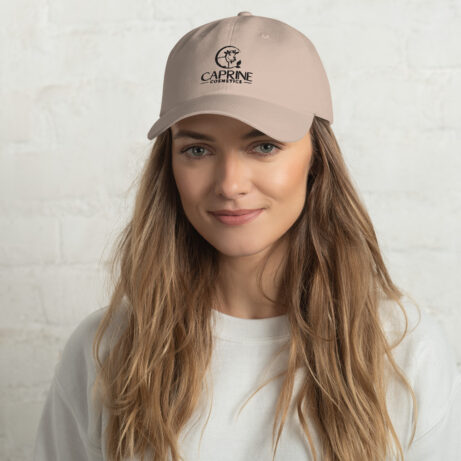 classic dad hat stone front 651f00d926005